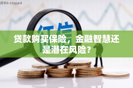 昭化贷款购买保险，金融智慧还是潜在风险？