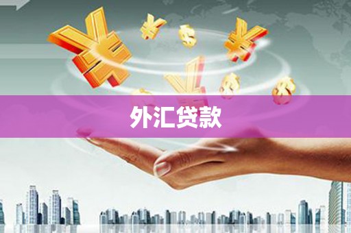 昭化外汇贷款