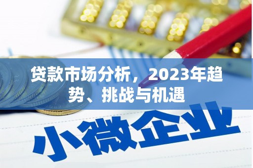 昭化贷款市场分析，2023年趋势、挑战与机遇