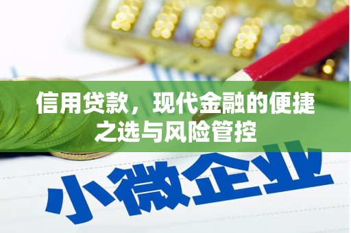 昭化信用贷款，现代金融的便捷之选与风险管控