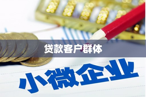 昭化贷款客户群体