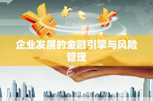 昭化企业发展的金融引擎与风险管理