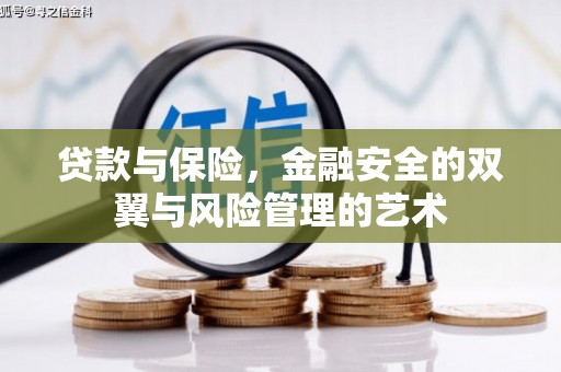 昭化贷款与保险，金融安全的双翼与风险管理的艺术