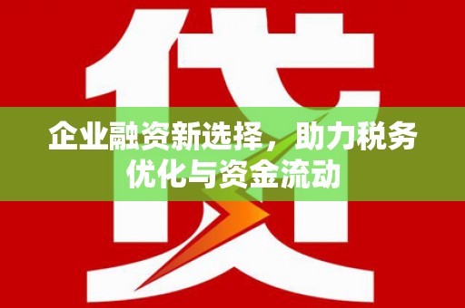 昭化企业融资新选择，助力税务优化与资金流动