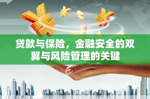 昭化贷款与保险，金融安全的双翼与风险管理的关键