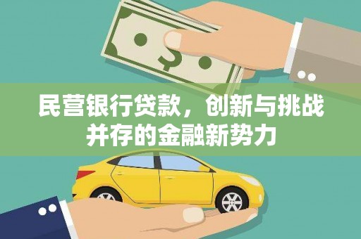 昭化民营银行贷款，创新与挑战并存的金融新势力