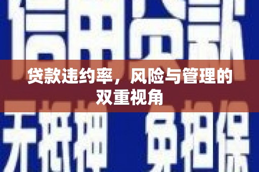 昭化贷款违约率，风险与管理的双重视角