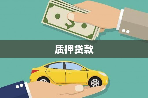 昭化质押贷款