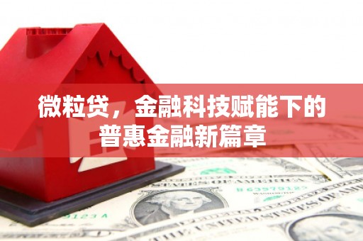 昭化微粒贷，金融科技赋能下的普惠金融新篇章
