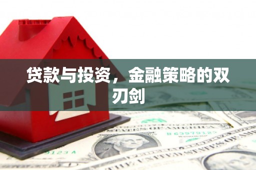 昭化贷款与投资，金融策略的双刃剑