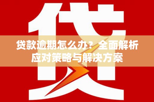 昭化贷款逾期怎么办？全面解析应对策略与解决方案