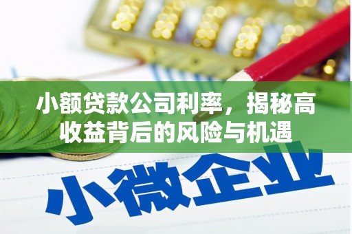 昭化小额贷款公司利率，揭秘高收益背后的风险与机遇