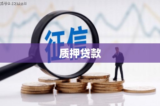 昭化质押贷款