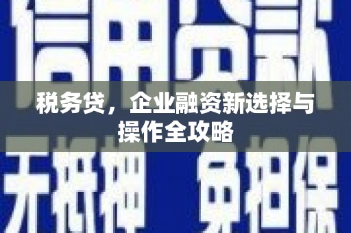 昭化税务贷，企业融资新选择与操作全攻略
