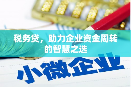 昭化税务贷，助力企业资金周转的智慧之选