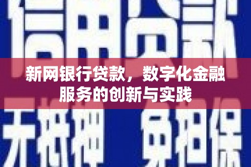 昭化新网银行贷款，数字化金融服务的创新与实践