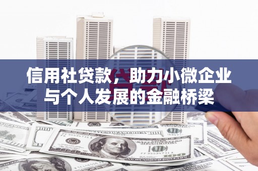 昭化信用社贷款，助力小微企业与个人发展的金融桥梁