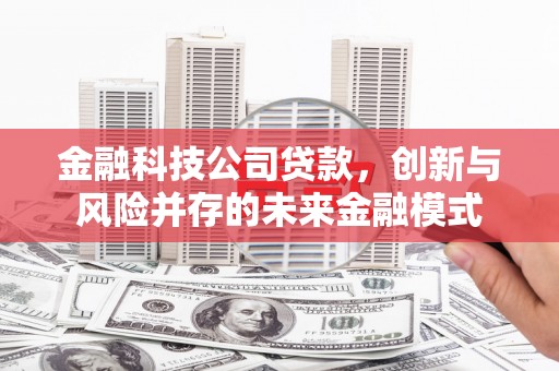昭化金融科技公司贷款，创新与风险并存的未来金融模式