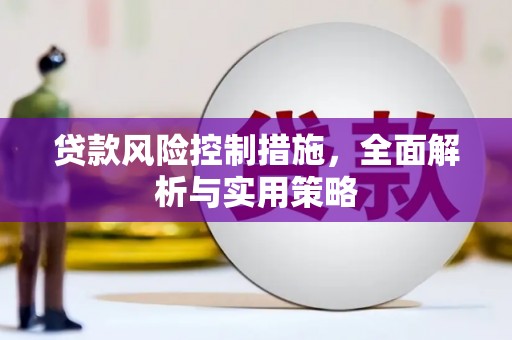 昭化贷款风险控制措施，全面解析与实用策略
