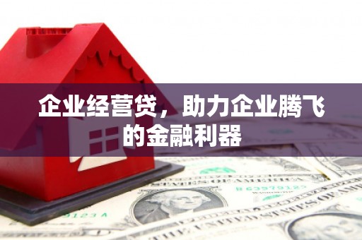 昭化企业经营贷，助力企业腾飞的金融利器