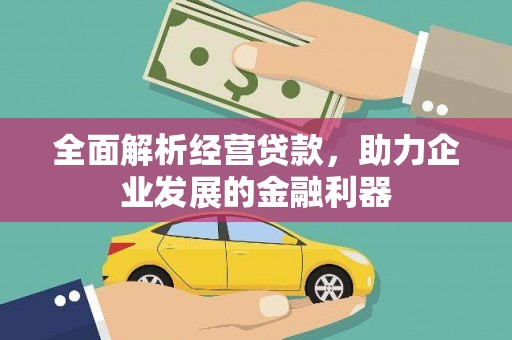 昭化全面解析经营贷款，助力企业发展的金融利器