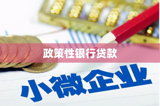 昭化政策性银行贷款