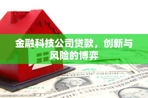 昭化金融科技公司贷款，创新与风险的博弈