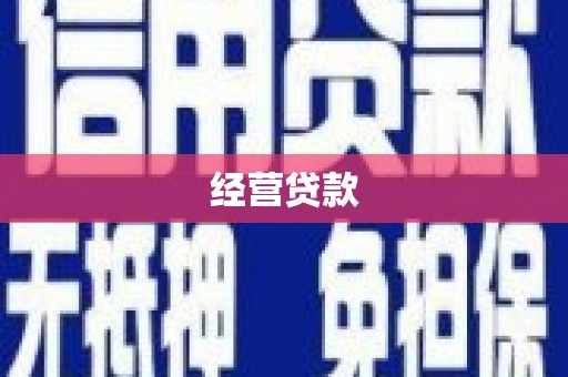昭化经营贷款