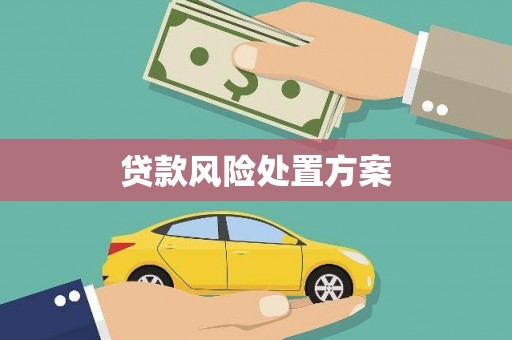 昭化贷款风险处置方案