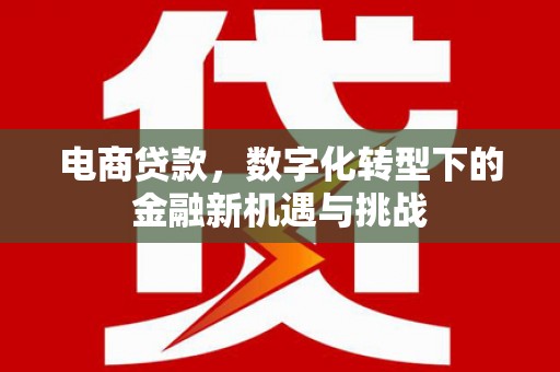 昭化电商贷款，数字化转型下的金融新机遇与挑战