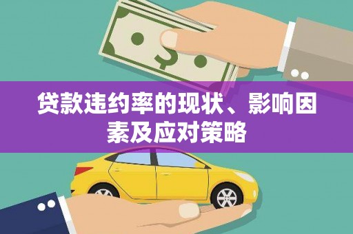 昭化贷款违约率的现状、影响因素及应对策略