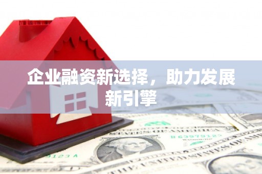 昭化企业融资新选择，助力发展新引擎