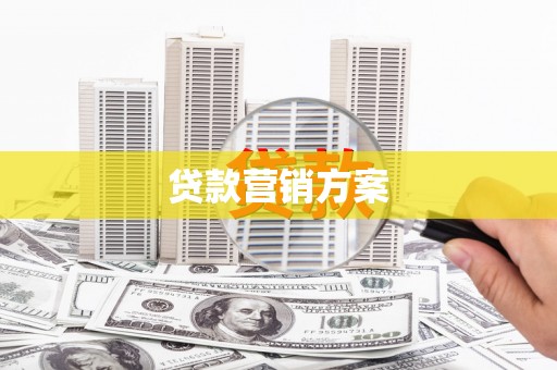 昭化贷款营销方案
