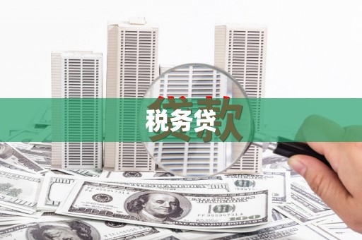 昭化税务贷