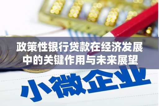 昭化政策性银行贷款在经济发展中的关键作用与未来展望