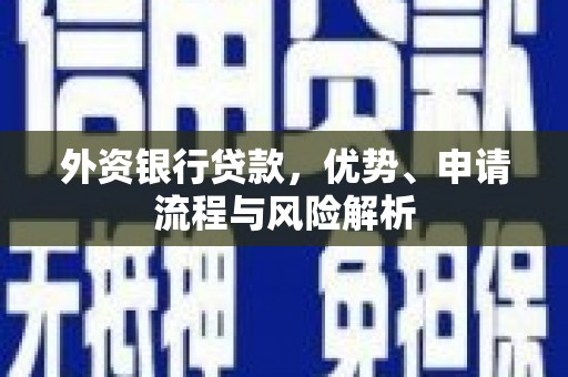 昭化外资银行贷款，优势、申请流程与风险解析