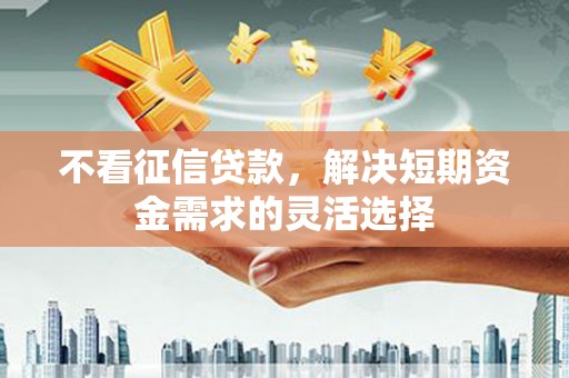 昭化不看征信贷款，解决短期资金需求的灵活选择