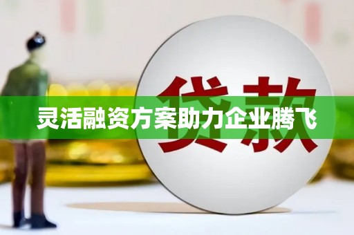 昭化灵活融资方案助力企业腾飞