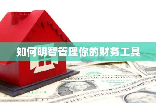 昭化如何明智管理你的财务工具