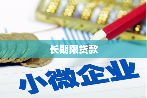 昭化长期限贷款