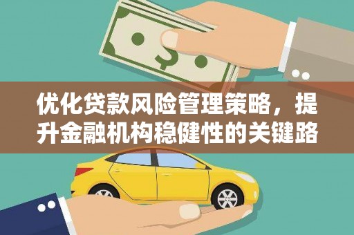 昭化优化贷款风险管理策略，提升金融机构稳健性的关键路径