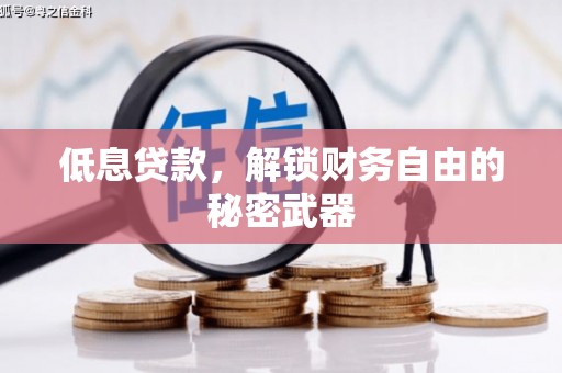 昭化低息贷款，解锁财务自由的秘密武器