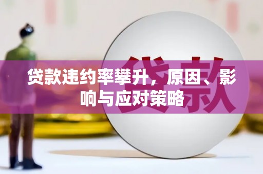 昭化贷款违约率攀升，原因、影响与应对策略