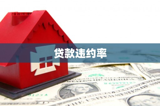 昭化贷款违约率
