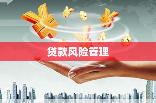 昭化贷款风险管理
