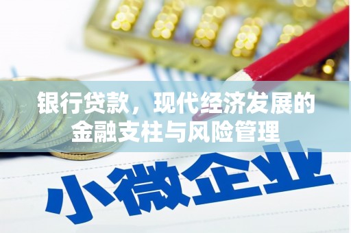 昭化银行贷款，现代经济发展的金融支柱与风险管理