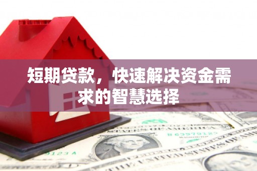 昭化短期贷款，快速解决资金需求的智慧选择