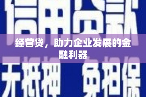 昭化经营贷，助力企业发展的金融利器