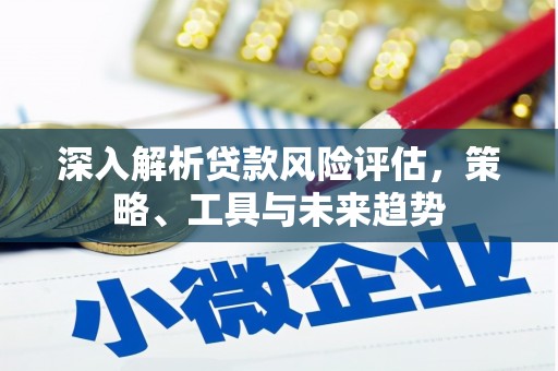 昭化深入解析贷款风险评估，策略、工具与未来趋势