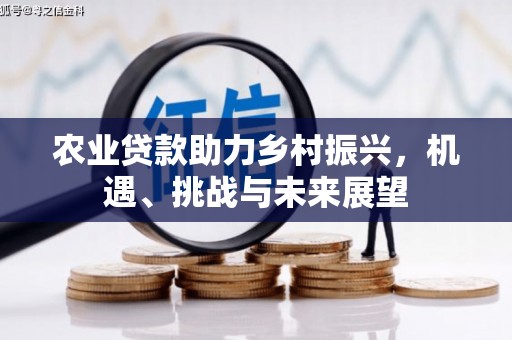 昭化农业贷款助力乡村振兴，机遇、挑战与未来展望